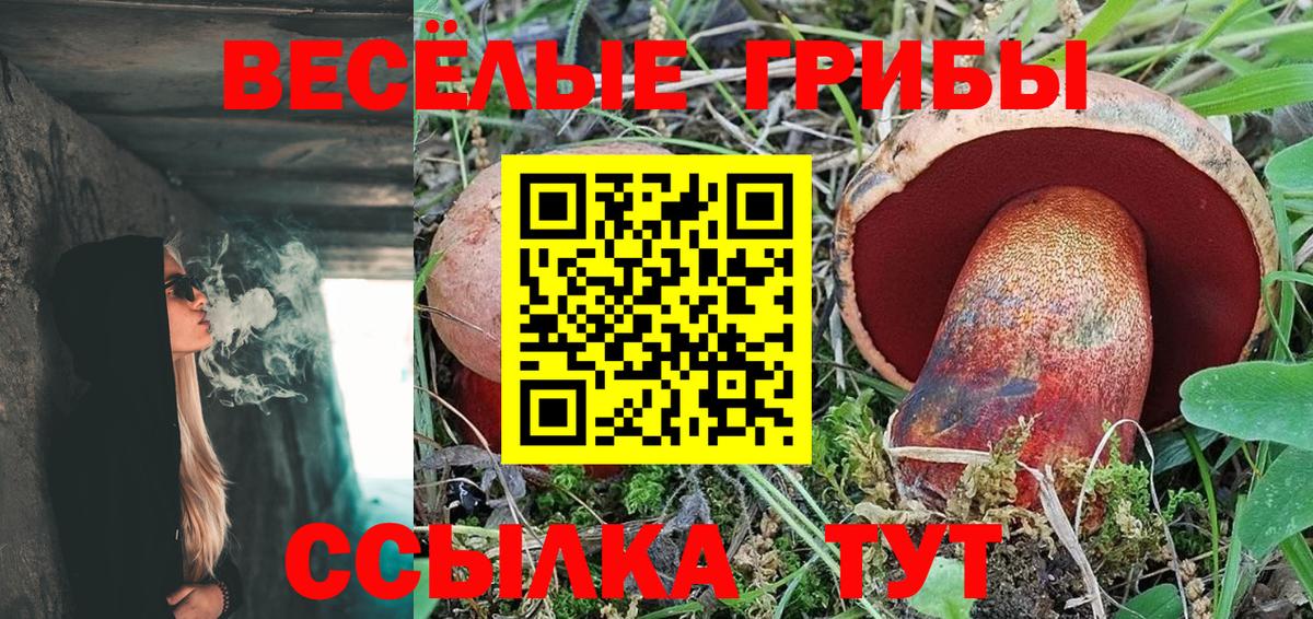 Псилоцибиновые грибы MAGIC MUSHROOMS Искитим