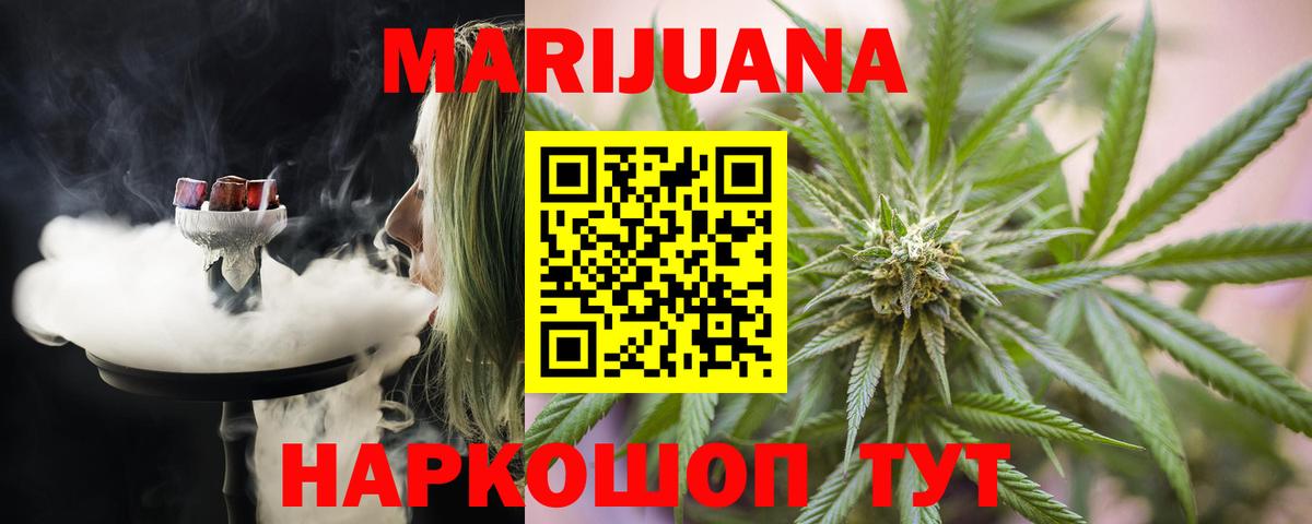 Канабис сатива Искитим